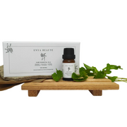 Diffuser + Essential Oil Set (6 x 10ml)